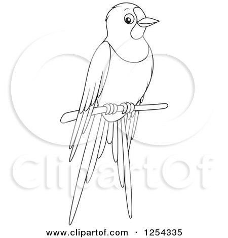 Clipart of a Black and White Perched Bird - Royalty Free Vector Illustration by Alex Bannykh
