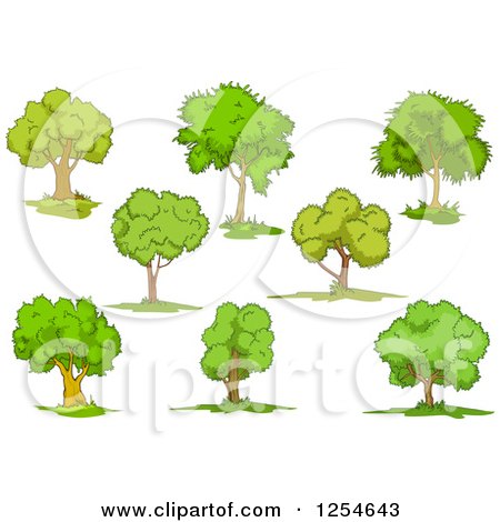 Clipart of Green Trees - Royalty Free Vector Illustration by Vector Tradition SM