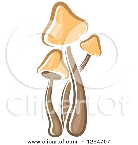 Clipart of Mushrooms - Royalty Free Vector Illustration by Vector Tradition SM