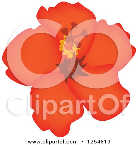 Clipart of a Red Hibiscus Flower - Royalty Free Vector Illustration by Amanda Kate