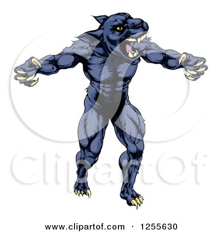 Clipart of a Muscular Panther Man Mascot Attacking - Royalty Free Vector Illustration by AtStockIllustration