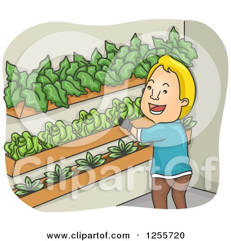 Clipart of a Blond White Man Vertical Gardening - Royalty Free Vector Illustration by BNP Design Studio