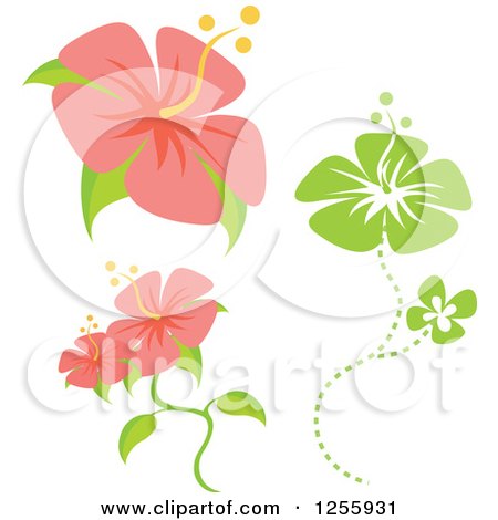 Clipart of Pink and Green Hibiscus Flowers - Royalty Free Vector Illustration by Amanda Kate