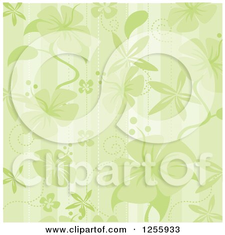 Clipart of a Green Hibiscus Flower and Stripes Background - Royalty Free Vector Illustration by Amanda Kate