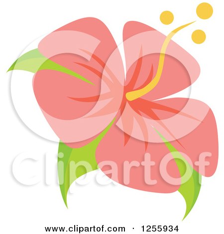 Clipart of a Pink Hibiscus Flower - Royalty Free Vector Illustration by Amanda Kate