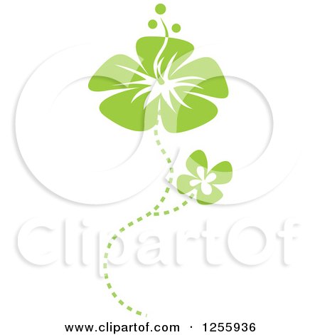 Clipart of Green Hibiscus Flowers - Royalty Free Vector Illustration by Amanda Kate