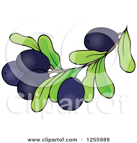 Clipart of a Greek Olive Branch - Royalty Free Vector Illustration by visekart