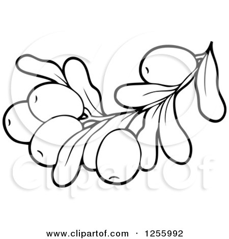Clipart of a Black and White Greek Olive Branch - Royalty Free Vector Illustration by visekart