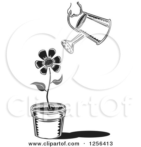 Clipart of a Black and White Can Watering a Potted Flower - Royalty