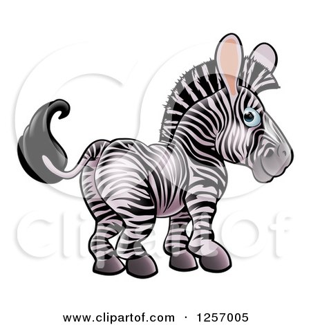Clipart of a Cute Zebra Looking Back - Royalty Free Vector Illustration by AtStockIllustration