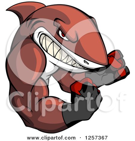 Clipart of a Tough Muscular Boxing Shark - Royalty Free Vector Illustration by Vector Tradition SM