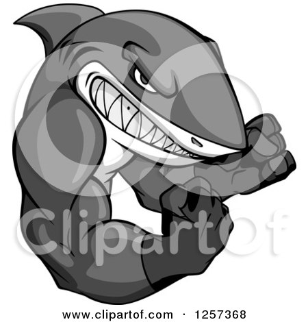 Clipart of a Grayscale Tough Muscular Boxing Shark - Royalty Free Vector Illustration by Vector Tradition SM