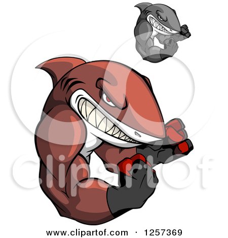 Clipart of Tough Muscular Boxing Sharks - Royalty Free Vector Illustration by Vector Tradition SM