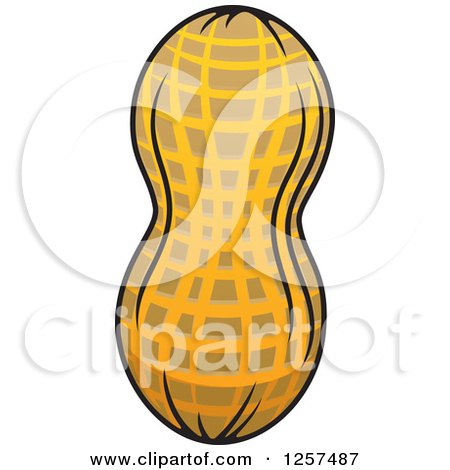 Clipart of a Peanut - Royalty Free Vector Illustration by Vector Tradition SM