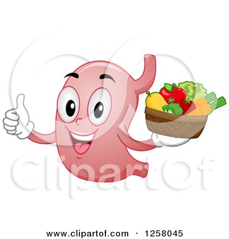 Clipart of a Happy Stomach Character Holding Fruit and a Thumb up - Royalty Free Vector Illustration by BNP Design Studio