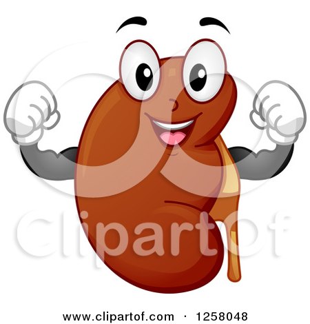 Clipart of a Happy Strong Kidney Flexing - Royalty Free Vector Illustration by BNP Design Studio
