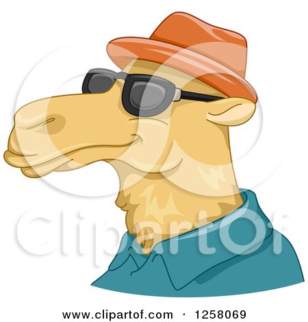 Clipart of a Cool Camel in a Hat, Shirt and Sunglasses - Royalty Free Vector Illustration by BNP Design Studio