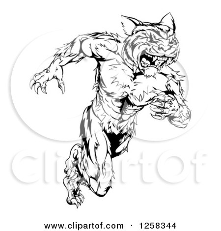 Clipart of a Black and White Fierce Muscular Running Tiger Man Mascot - Royalty Free Vector Illustration by AtStockIllustration