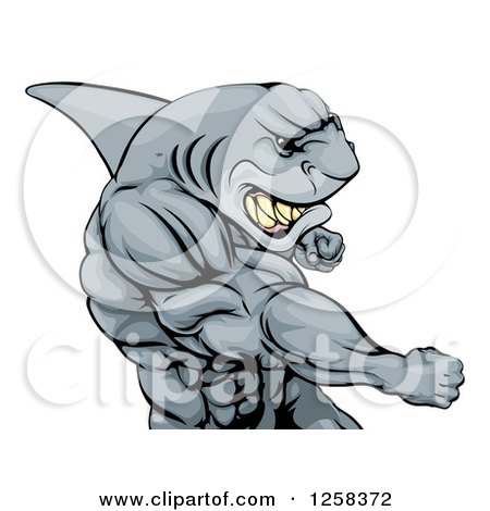 Clipart of a Mad Muscular Shark Man Mascot Punching - Royalty Free Vector Illustration by AtStockIllustration
