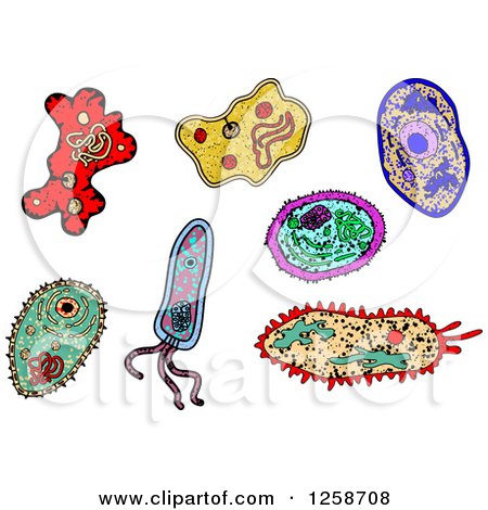 Clipart of Colorful Doodled Viruses or Amoebas - Royalty Free Vector Illustration by Vector Tradition SM