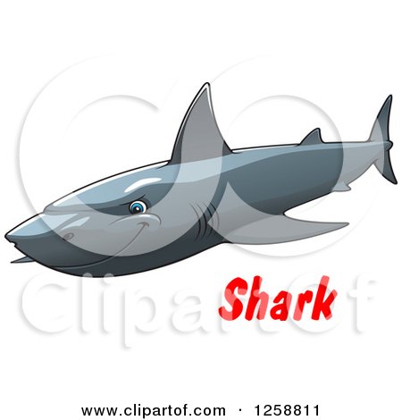 Clipart of a Gray Shark over Text - Royalty Free Vector Illustration by Vector Tradition SM