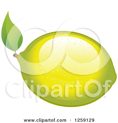 Clipart of a Lemon or Lime with a Leaf - Royalty Free Vector Illustration by Pushkin