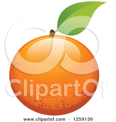 Clipart of an Orange with a Leaf - Royalty Free Vector Illustration by Pushkin
