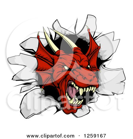 Clipart of a Fierce Red Dragon Mascot Head Breaking Through a Wall - Royalty Free Vector Illustration by AtStockIllustration