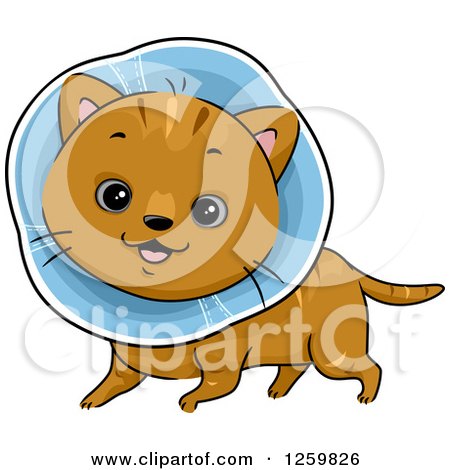 Clipart of a Happy Brown Cat Wearing an Elizabethan Collar - Royalty Free Vector Illustration by BNP Design Studio