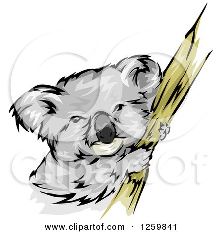 Clipart of a Koala on a Branch Mascot - Royalty Free Vector Illustration by BNP Design Studio