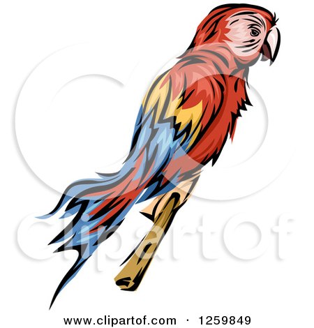 Clipart of a Rainbow Macaw Parrot Mascot - Royalty Free Vector Illustration by BNP Design Studio