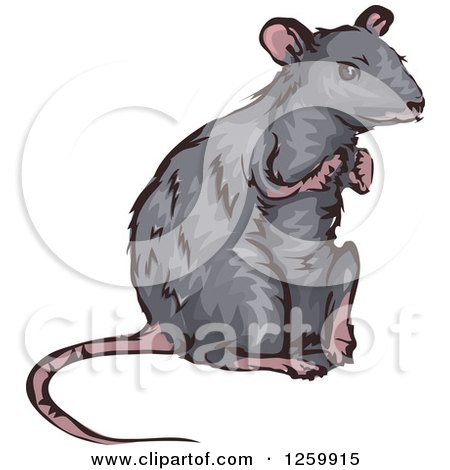 Clipart of a Gray Rat Mascot - Royalty Free Vector Illustration by BNP Design Studio