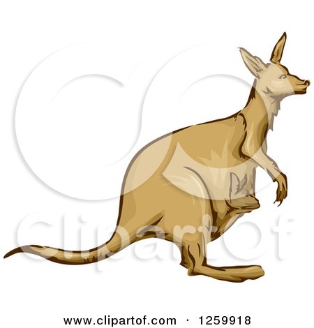 Clipart of a Kangaroo and Joey Mascot - Royalty Free Vector Illustration by BNP Design Studio