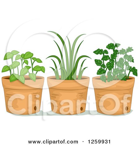 Clipart of Potted Herb Plants - Royalty Free Vector Illustration by BNP Design Studio