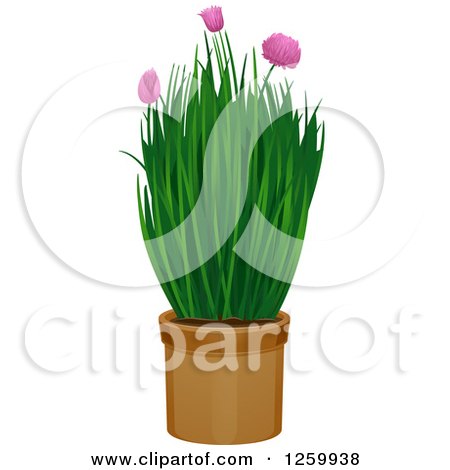 Clipart of a Potted Chives Plant - Royalty Free Vector Illustration by BNP Design Studio