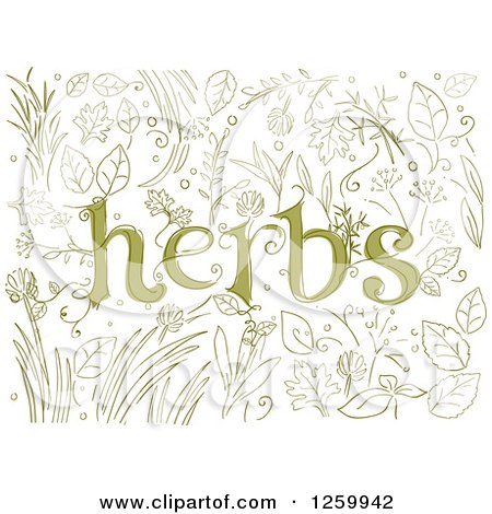 Clipart of Sketched Herbs Text over Plants - Royalty Free Vector Illustration by BNP Design Studio