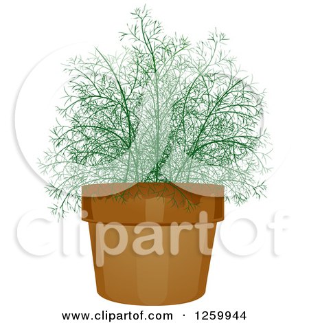 Clipart of a Potted Dill Plant - Royalty Free Vector Illustration by BNP Design Studio