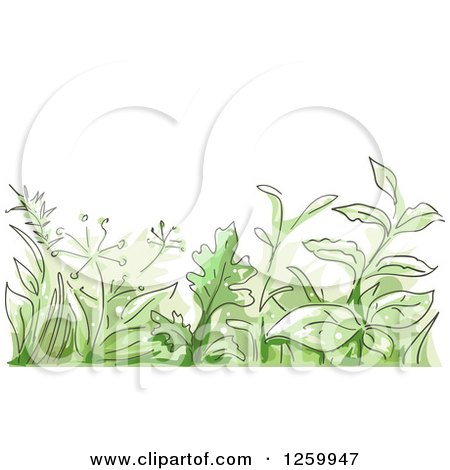 Clipart of a Border of Green Herbs - Royalty Free Vector Illustration by BNP Design Studio