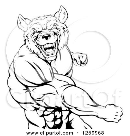 Clipart of a Black and White Muscular Wolf Man Punching - Royalty Free Vector Illustration by AtStockIllustration