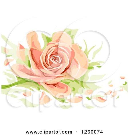 Clipart of a Peach Colored Rose with Loose Petals - Royalty Free Vector Illustration by BNP Design Studio