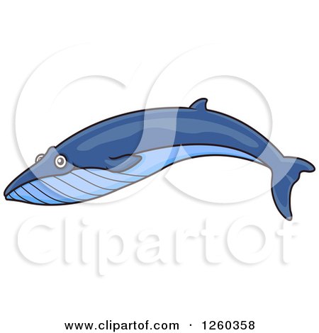 Clipart of a Swimming Blue Whale - Royalty Free Vector Illustration by Vector Tradition SM