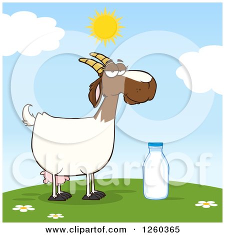 Clipart of a Red and White Female Boer Goat Doe with a Milk Bottle on a Hill - Royalty Free Vector Illustration by Hit Toon