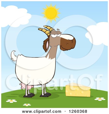 Clipart of a Red and White Female Boer Goat Doe with Cheese on a Hill - Royalty Free Vector Illustration by Hit Toon