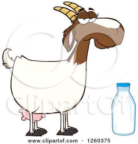 Clipart of a Red and White Female Boer Goat Doe with a Milk Bottle - Royalty Free Vector Illustration by Hit Toon