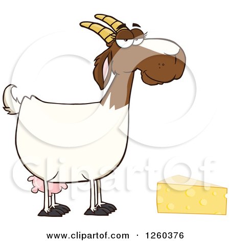 Clipart of a Red and White Female Boer Goat Doe with Cheese - Royalty Free Vector Illustration by Hit Toon