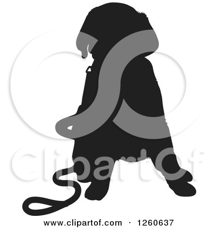 Clipart of a Black Silhouetted Labrador Retriever Puppy Sitting with a Leash - Royalty Free Vector Illustration by Maria Bell