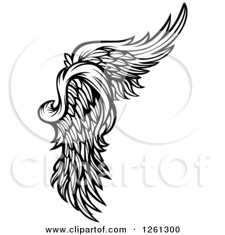 Clipart of a Black and White Feathered Wing - Royalty Free Vector Illustration by Chromaco