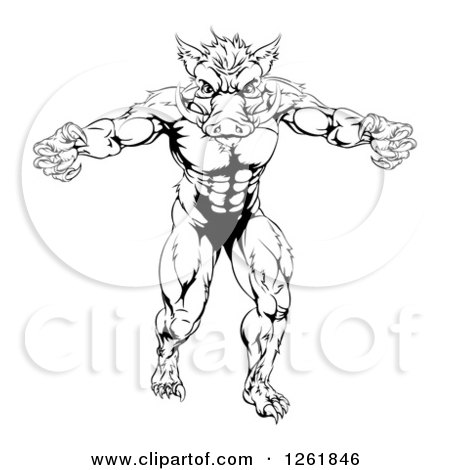 Clipart of a Black and White Muscular Aggressive Boar Man Mascot Attacking - Royalty Free Vector Illustration by AtStockIllustration
