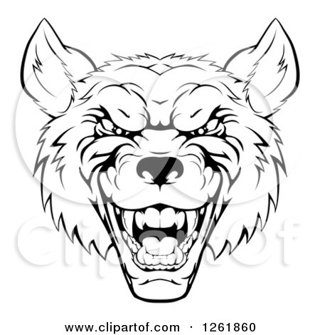 Clipart of a Growling Black and White Aggressive Wolf Face - Royalty Free Vector Illustration by AtStockIllustration