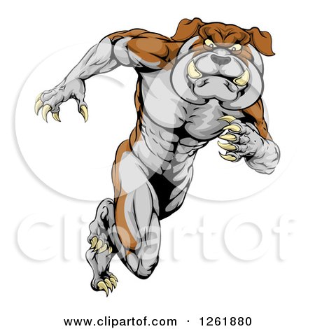 Clipart of a Muscular Aggressive Bulldog Mascot Running Upright - Royalty Free Vector Illustration by AtStockIllustration